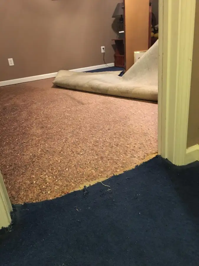 Carpet pad removal revealing water damage during Drying & Dehumidification in Cedar Mill