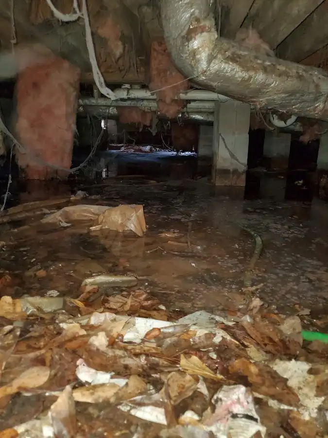 Crawl space flood assessment for Leak Detection & Repair in Cedar Mill