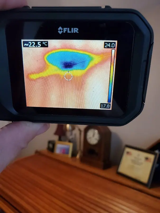 Thermal imaging inspection for water damage in Cedar Mill